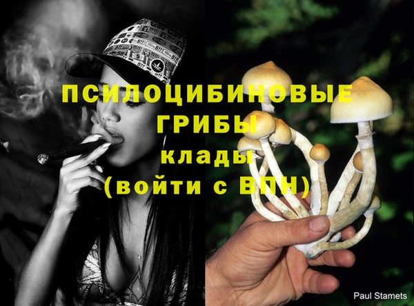 spice Баксан